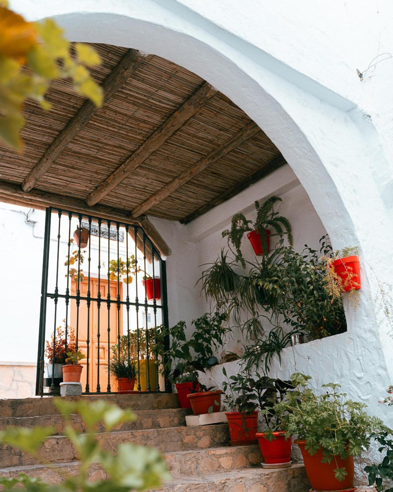 Salati Διαμέρισμα El Gastor Εξωτερικό φωτογραφία